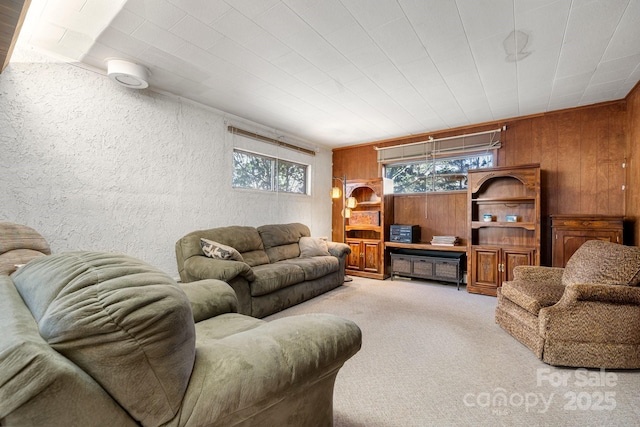 3407 14th Ave SW, Hickory, NC 28602 - living area with wood walls and light carpet