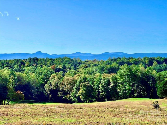 view of mountain feature with a wooded view