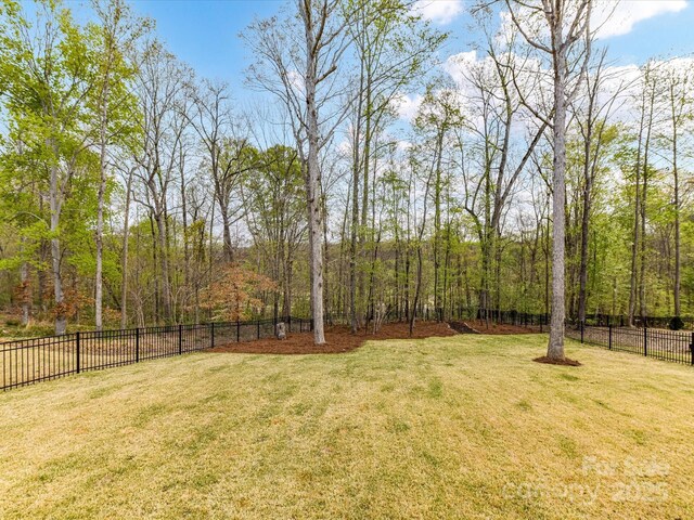 911 Abilene Ln, Fort Mill, SC 29715 - view of yard