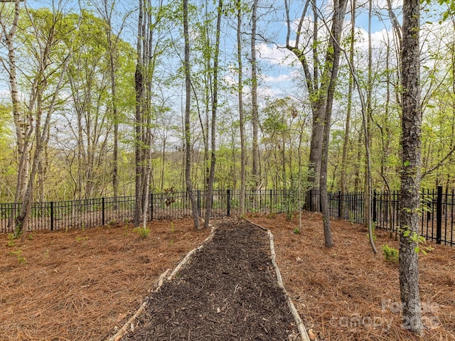 911 Abilene Ln, Fort Mill, SC 29715 - view of yard with a forest view