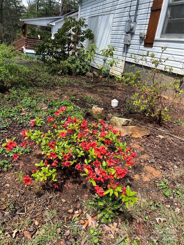 74 Beverly Rd, Asheville, NC 28805 - photo 29