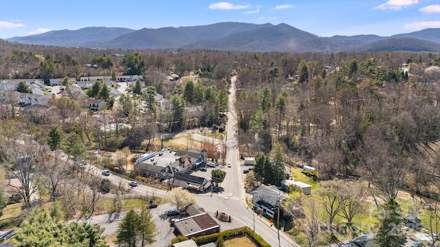 74 Beverly Rd, Asheville, NC 28805 - photo 30