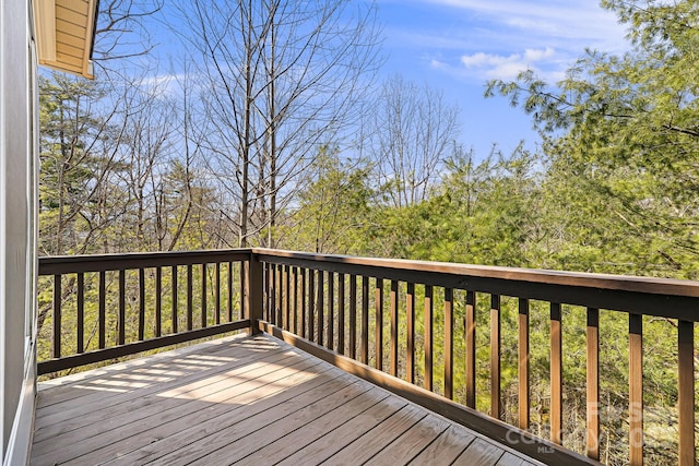 36 White Ash Dr, Asheville, NC 28803 - photo 29