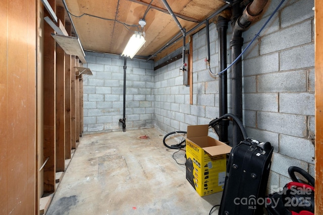 unfinished below grade area featuring concrete block wall