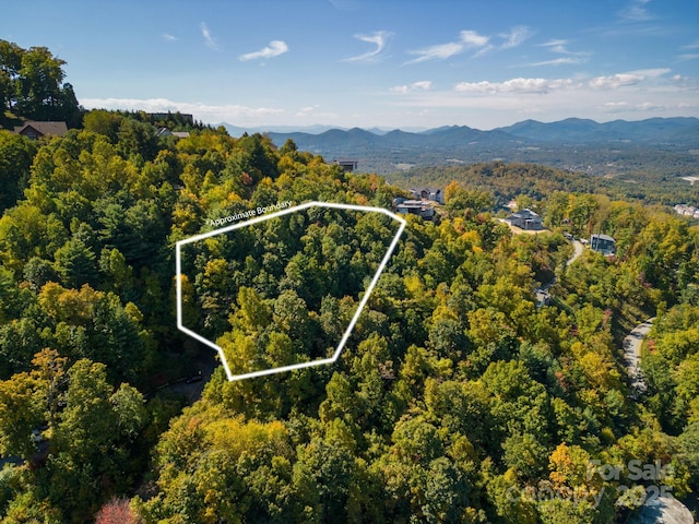 99999 Leisure Mountain Rd Unit 22, Asheville, NC 28804