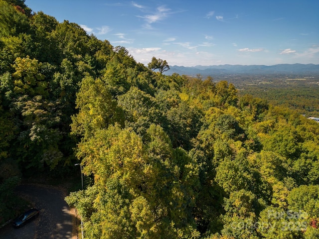 99999 Leisure Mountain Rd Unit 22, Asheville, NC 28804