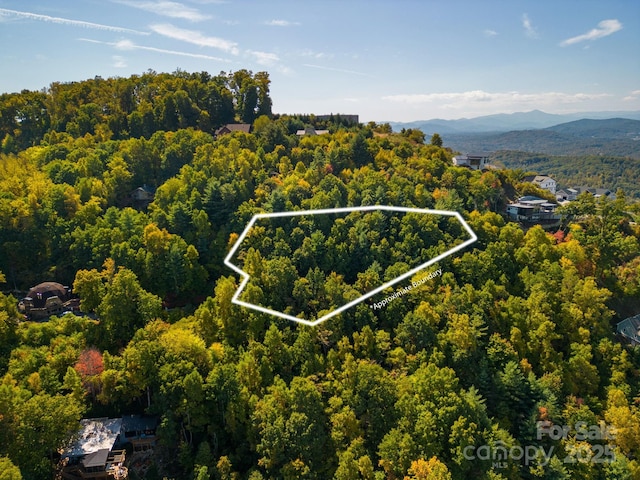99999 Leisure Mountain Rd Unit 22, Asheville, NC 28804