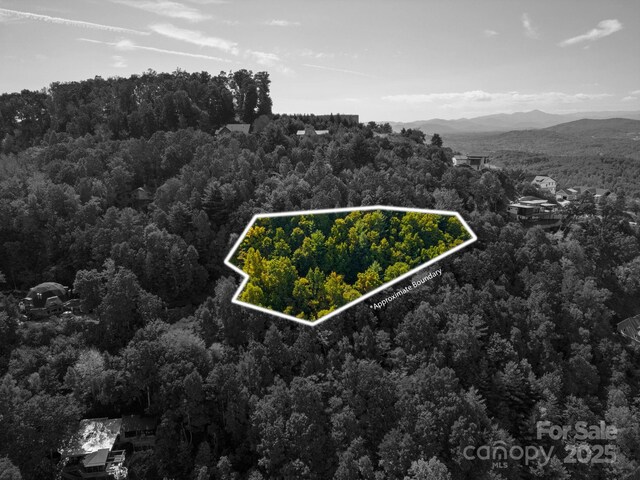 99999 Leisure Mountain Rd Unit 22, Asheville, NC 28804