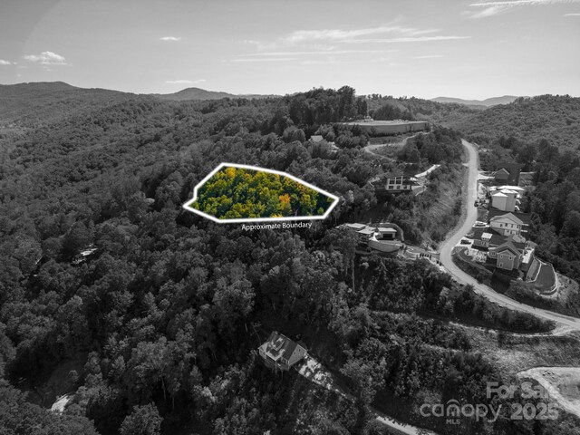 99999 Leisure Mountain Rd Unit 22, Asheville, NC 28804