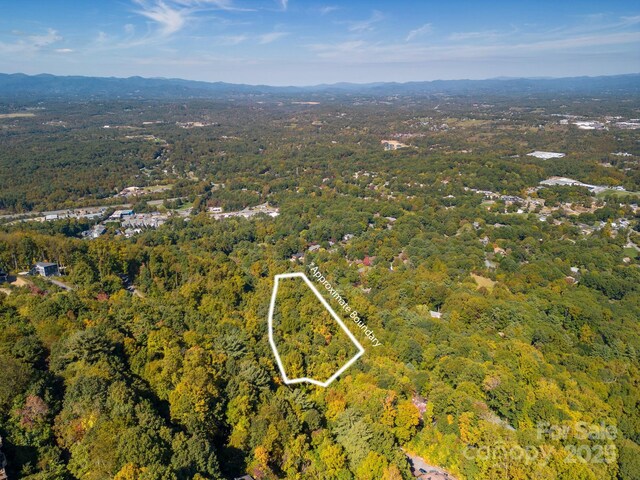99999 Leisure Mountain Rd Unit 22, Asheville, NC 28804