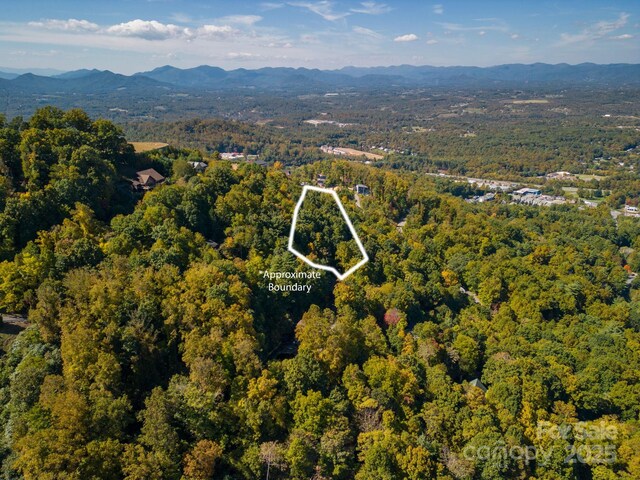 99999 Leisure Mountain Rd Unit 22, Asheville, NC 28804