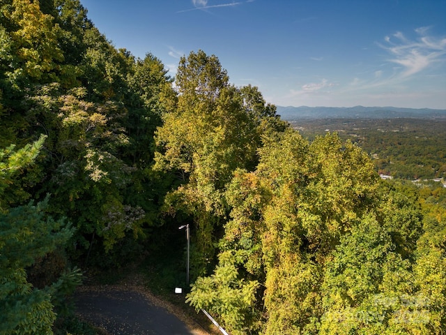 99999 Leisure Mountain Rd Unit 22, Asheville, NC 28804