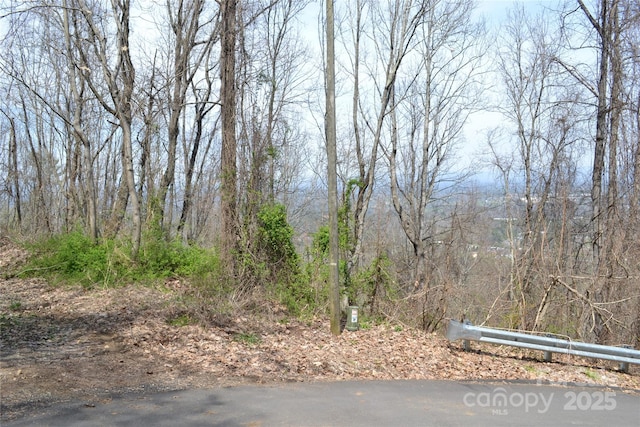 99999 Leisure Mountain Rd Unit 22, Asheville, NC 28804