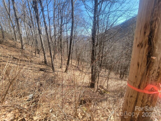 400 Mountain Laurel Rd Unit 57, Maggie Valley, NC 28751