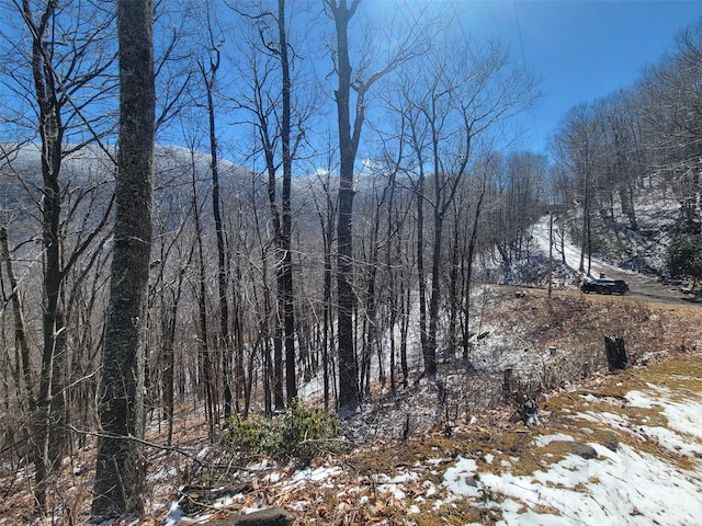 400 Mountain Laurel Rd Unit 57, Maggie Valley, NC 28751 - photo 3