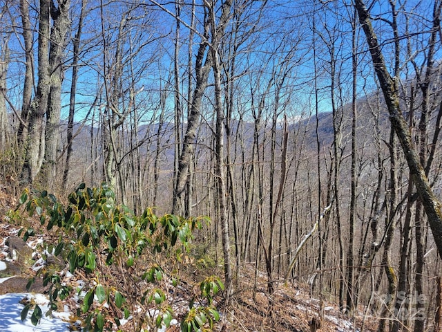 400 Mountain Laurel Rd Unit 57, Maggie Valley, NC 28751 - photo 4