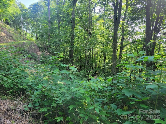400 Mountain Laurel Rd Unit 57, Maggie Valley, NC 28751 - photo 1
