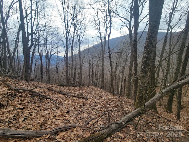 400 Mountain Laurel Rd Unit 57, Maggie Valley, NC 28751 - photo 6