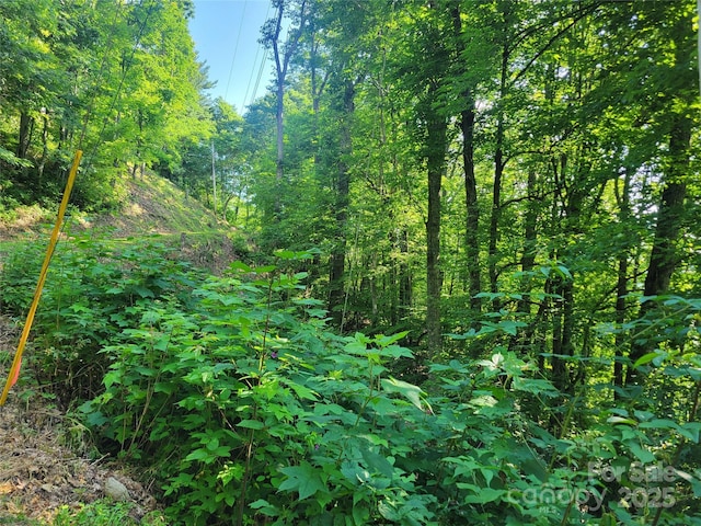 400 Mountain Laurel Rd Unit 57, Maggie Valley, NC 28751 - photo 7