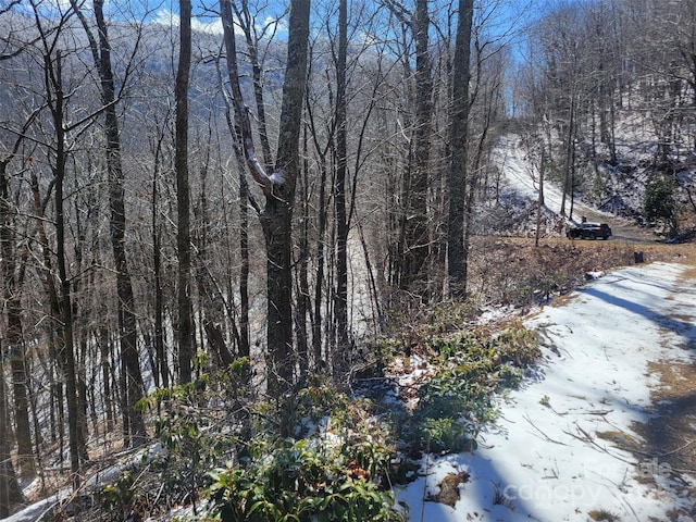 400 Mountain Laurel Rd Unit 57, Maggie Valley, NC 28751 - photo 12