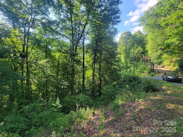 400 Mountain Laurel Rd Unit 57, Maggie Valley, NC 28751 - photo 16