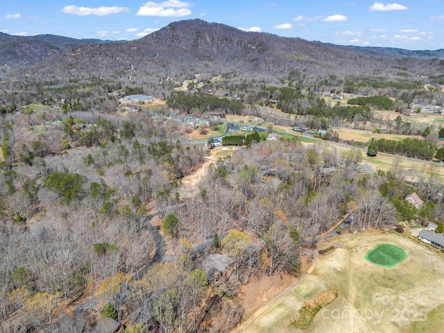 drone / aerial view featuring a mountain view