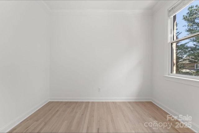 15009 Lisha Ln, Charlotte, NC 28277 - empty room featuring a wealth of natural light, light wood-style flooring, and crown molding