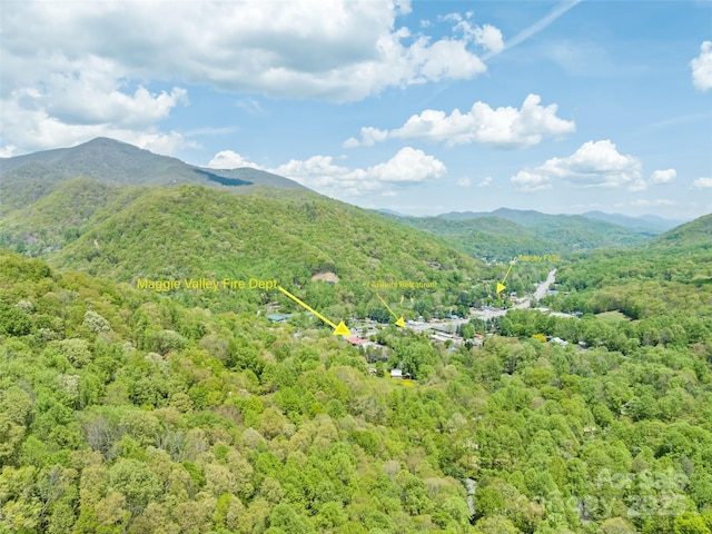 property view of mountains featuring a forest view