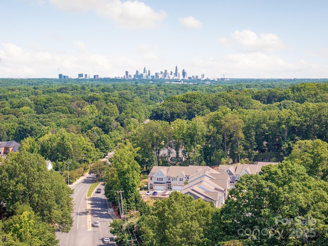 3111 Everly Enclave Way, Charlotte, NC 28210 - aerial view of a forest