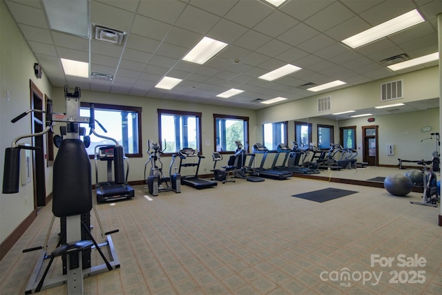 556 High Pines Loop, Lake Lure, NC 28746 - exercise room featuring carpet flooring, baseboards, healthy amount of natural light, and a paneled ceiling