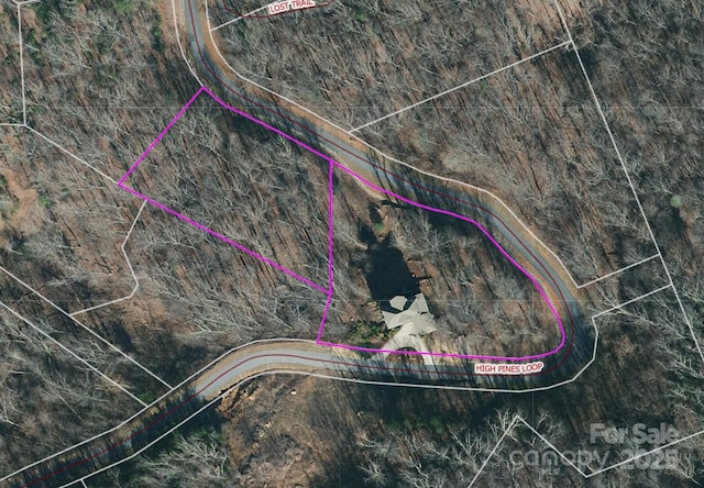 556 High Pines Loop, Lake Lure, NC 28746 - aerial view of property's location with property parcel outlined