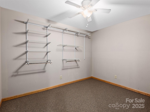 575 Twin Brook Dr, Waynesville, NC 28785 - walk in closet with carpet flooring and a ceiling fan