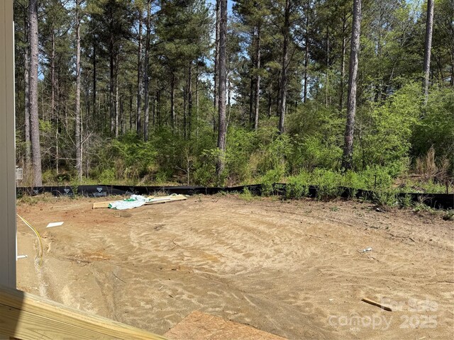 1259 Willow Grove Ln Unit 100, York, SC 29745 - view of yard