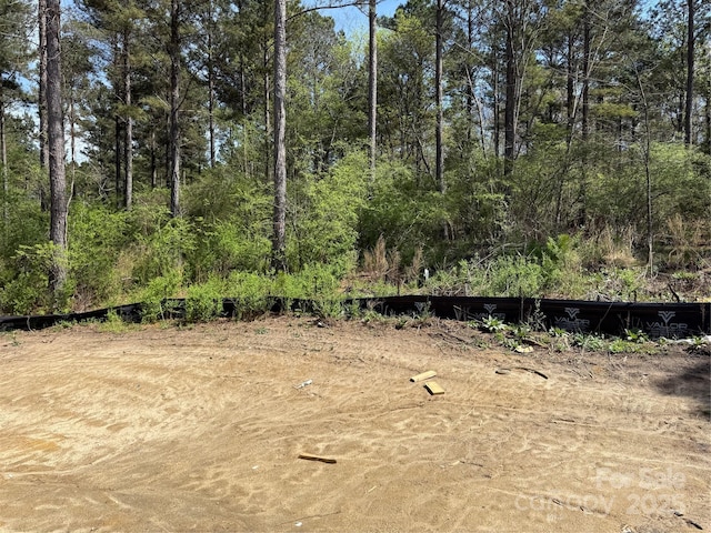 1259 Willow Grove Ln Unit 100, York, SC 29745 - view of local wilderness