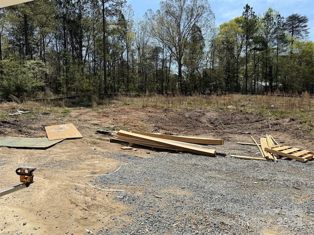 1259 Willow Grove Ln Unit 100, York, SC 29745 - view of yard