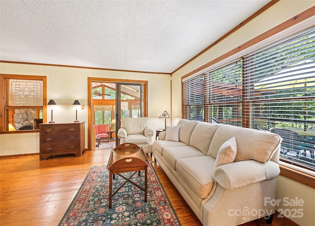 1192 Rockdale Rd, Whittier, NC 28789 - living room with crown molding, a textured ceiling, and hardwood / wood-style floors