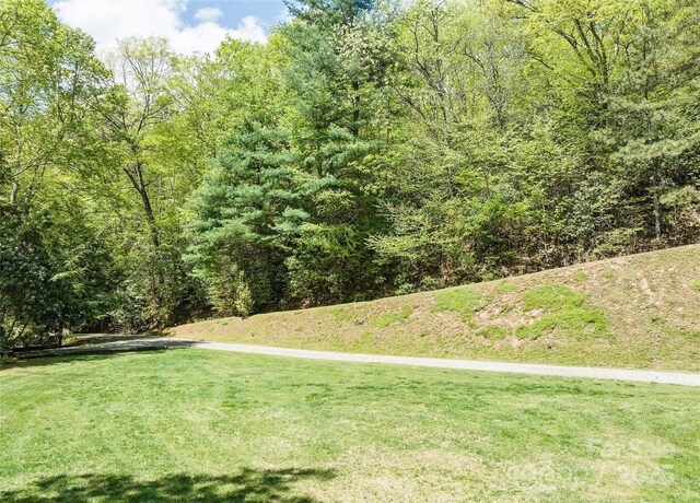 1192 Rockdale Rd, Whittier, NC 28789 - view of yard featuring a view of trees