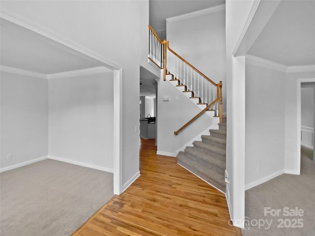 interior space with baseboards, crown molding, wood finished floors, and carpet