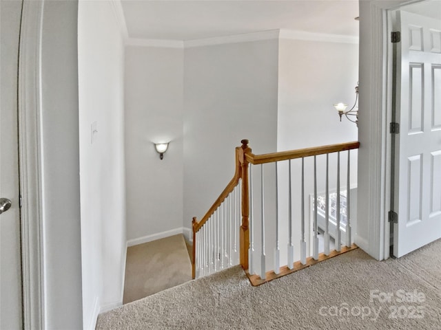 stairway with baseboards, ornamental molding, an inviting chandelier, and carpet