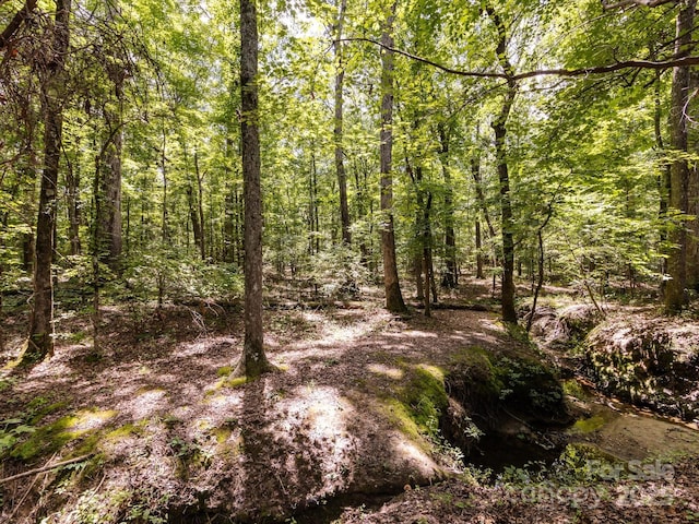 4148 Cedar Point Ave, Matthews, NC 28104 - view of wooded area