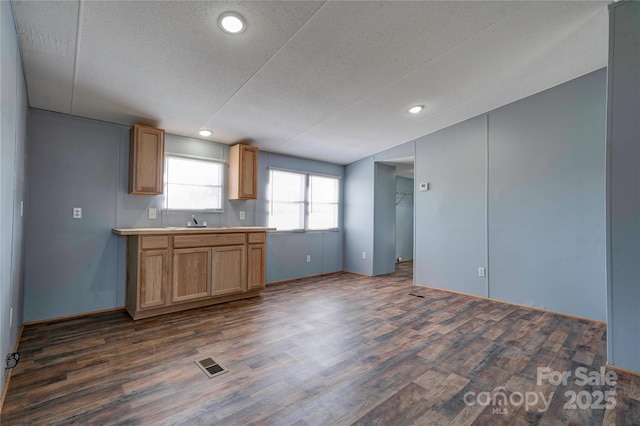 kitchen featuring light countertops, dark wood finished floors, a sink, and visible vents