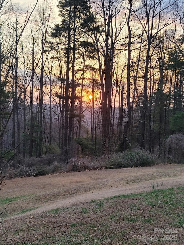 119 Tryon View Dr, Flat Rock, NC 28731 - view of street