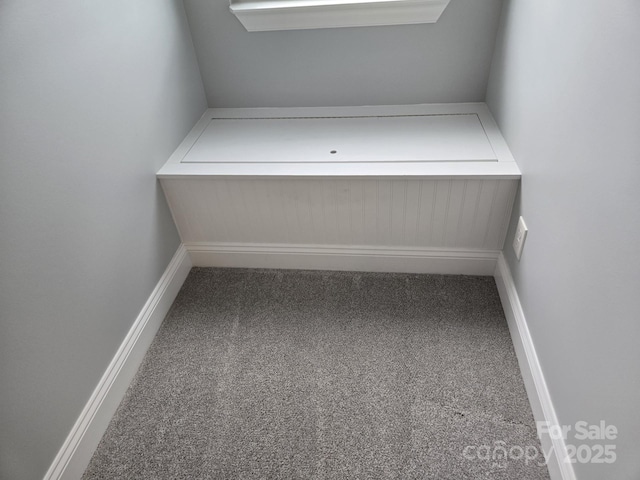 119 Tryon View Dr, Flat Rock, NC 28731 - view of closet