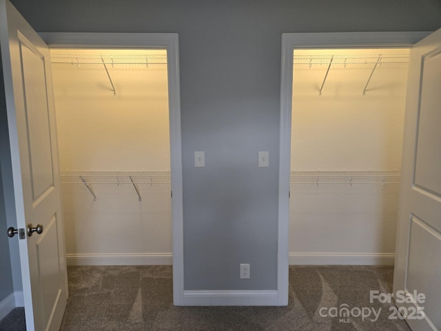 119 Tryon View Dr, Flat Rock, NC 28731 - spacious closet with carpet floors