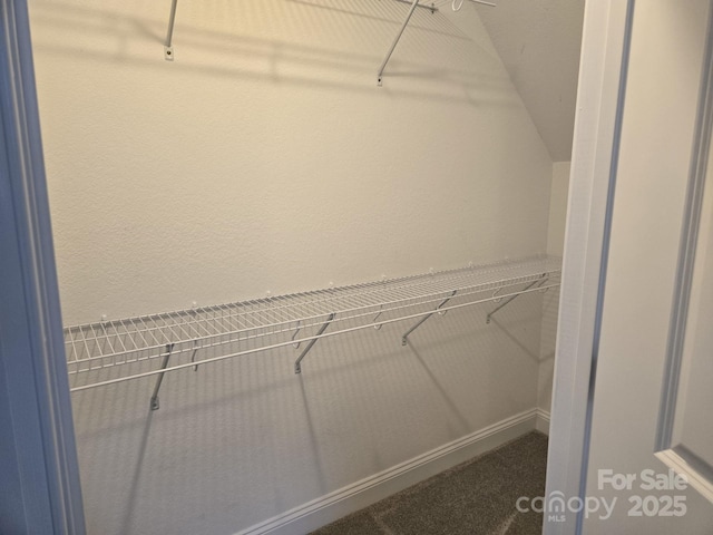 119 Tryon View Dr, Flat Rock, NC 28731 - walk in closet featuring carpet floors