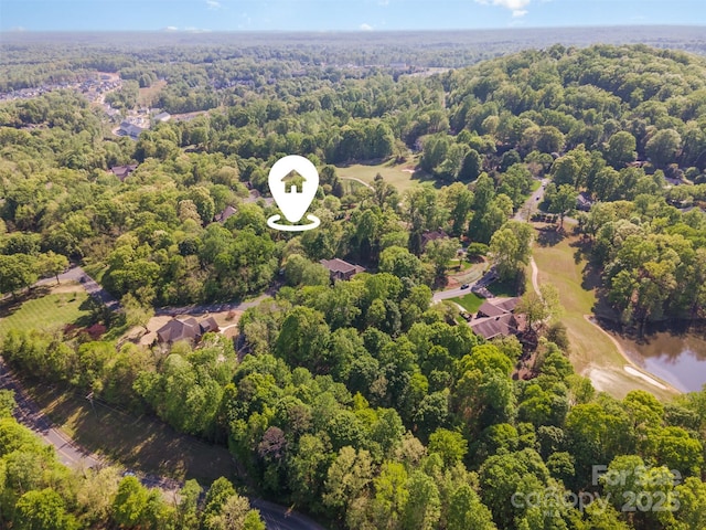 2909 Dodsworth Dr, Cramerton, NC 28032 - photo 1