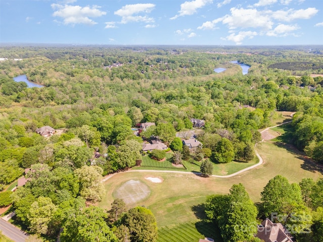 2909 Dodsworth Dr, Cramerton, NC 28032 - photo 2