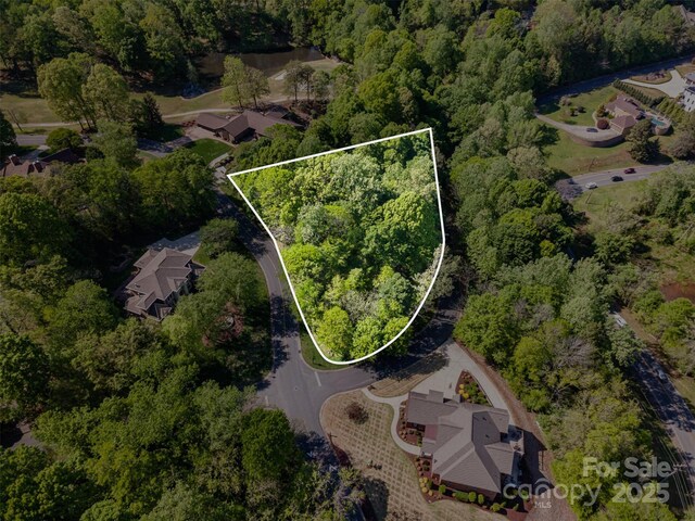 2909 Dodsworth Dr, Cramerton, NC 28032 - photo 9