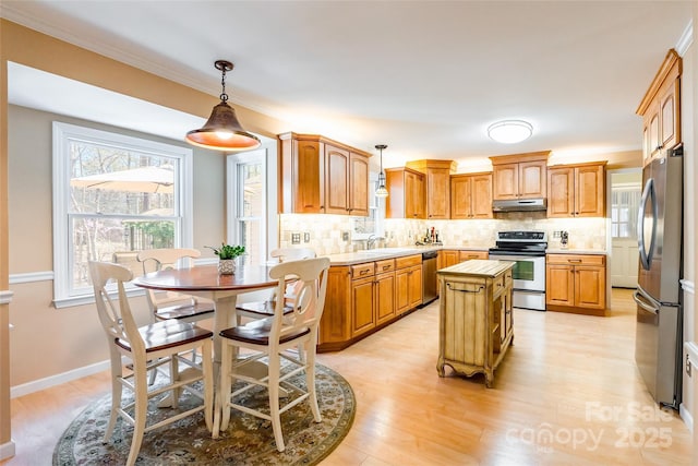 10028 Bora Bora Dr, Tega Cay, SC 29708 - kitchen featuring tasteful backsplash, light wood-style flooring, under cabinet range hood, and appliances with stainless steel finishes