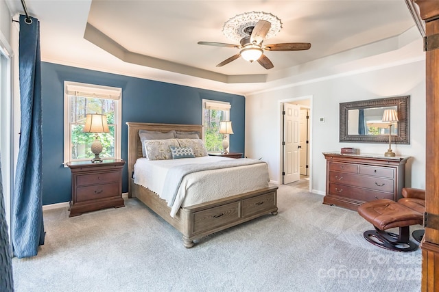 10028 Bora Bora Dr, Tega Cay, SC 29708 - bedroom with baseboards, carpet flooring, multiple windows, and a raised ceiling